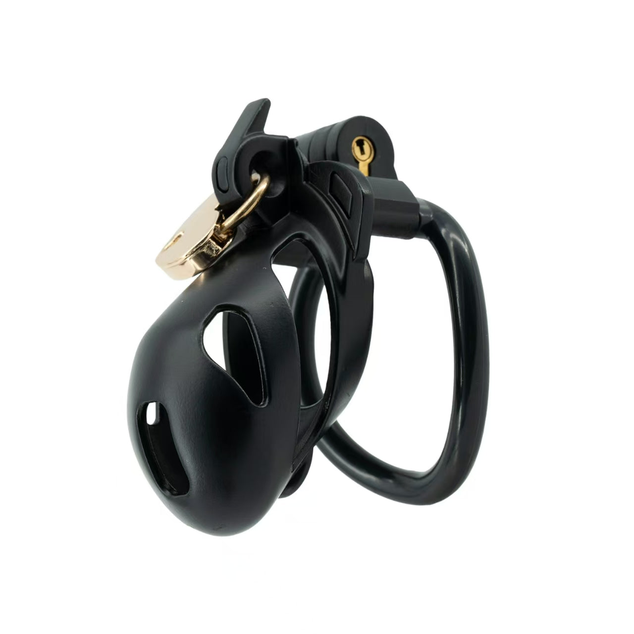 Double Lock Male Chastity Cage