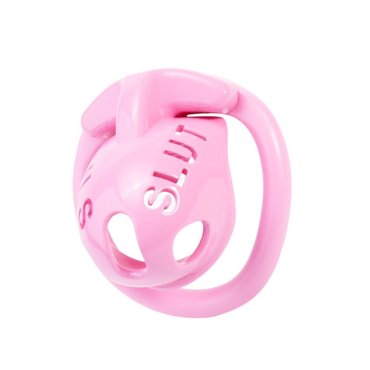 SLUT Humiliation Resin Chastity Cage with Ring-Set Options