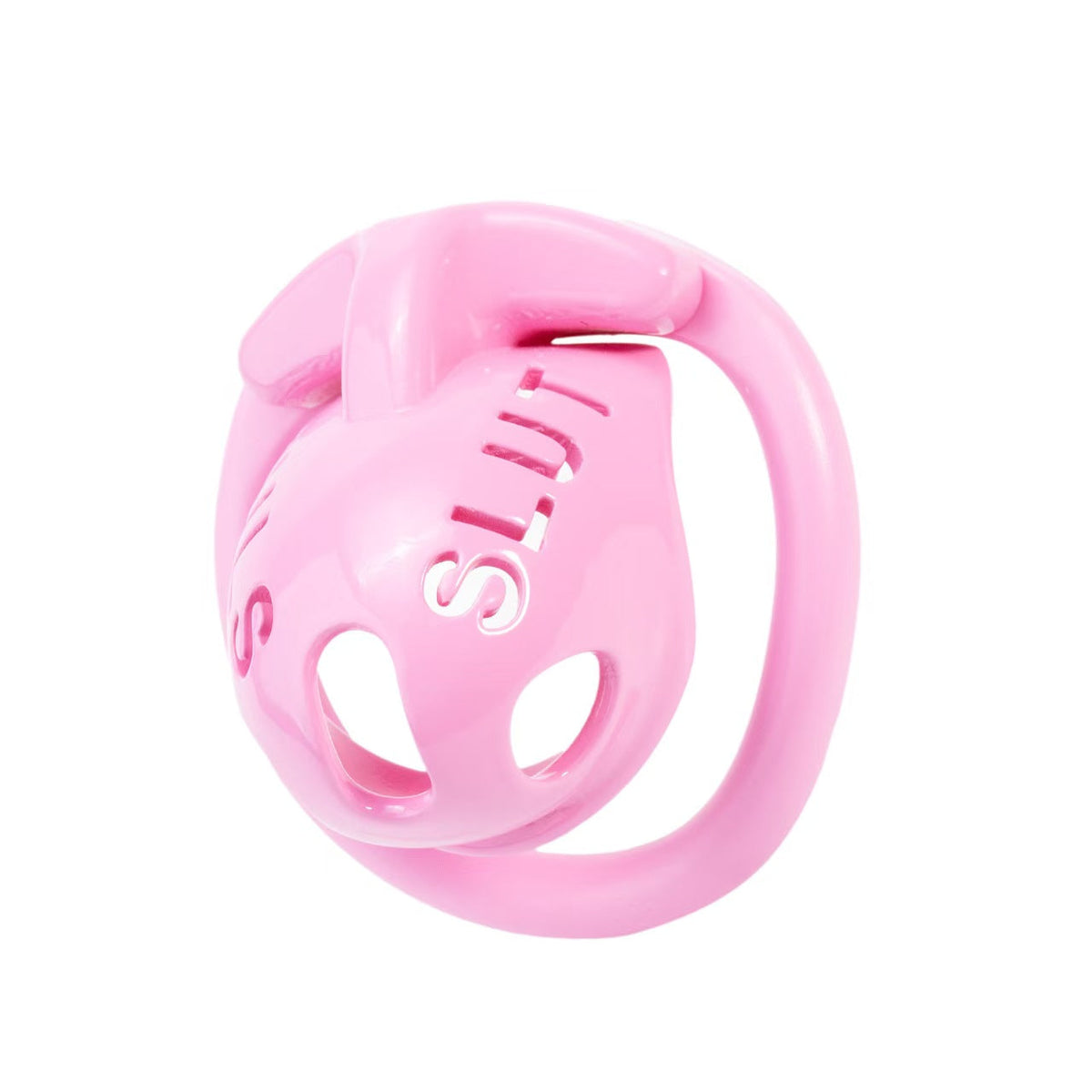 SLUT Humiliation Resin Chastity Cage with Ring-Set Options