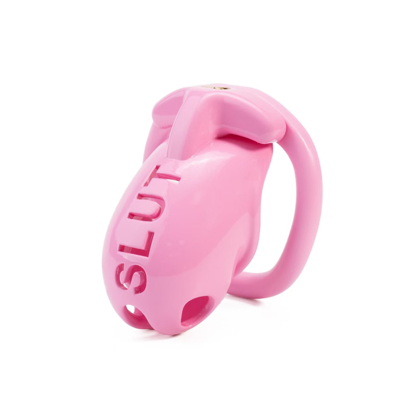 SLUT Humiliation Resin Chastity Cage with Ring-Set Options