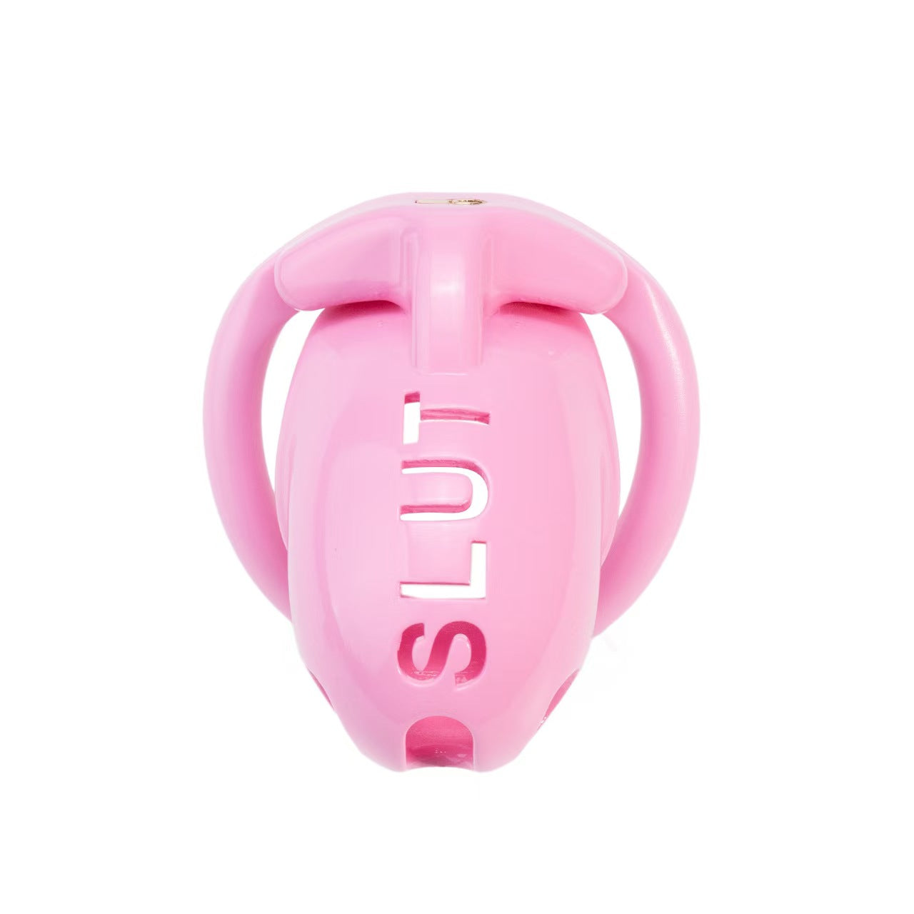 SLUT Humiliation Resin Chastity Cage with Ring-Set Options