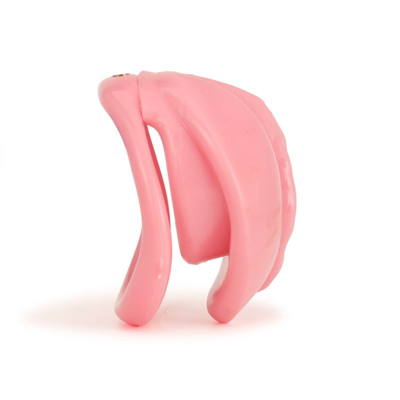 Faux labia chastity cage with four included clasp rings