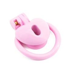 3D Heart Shape Chastity Device