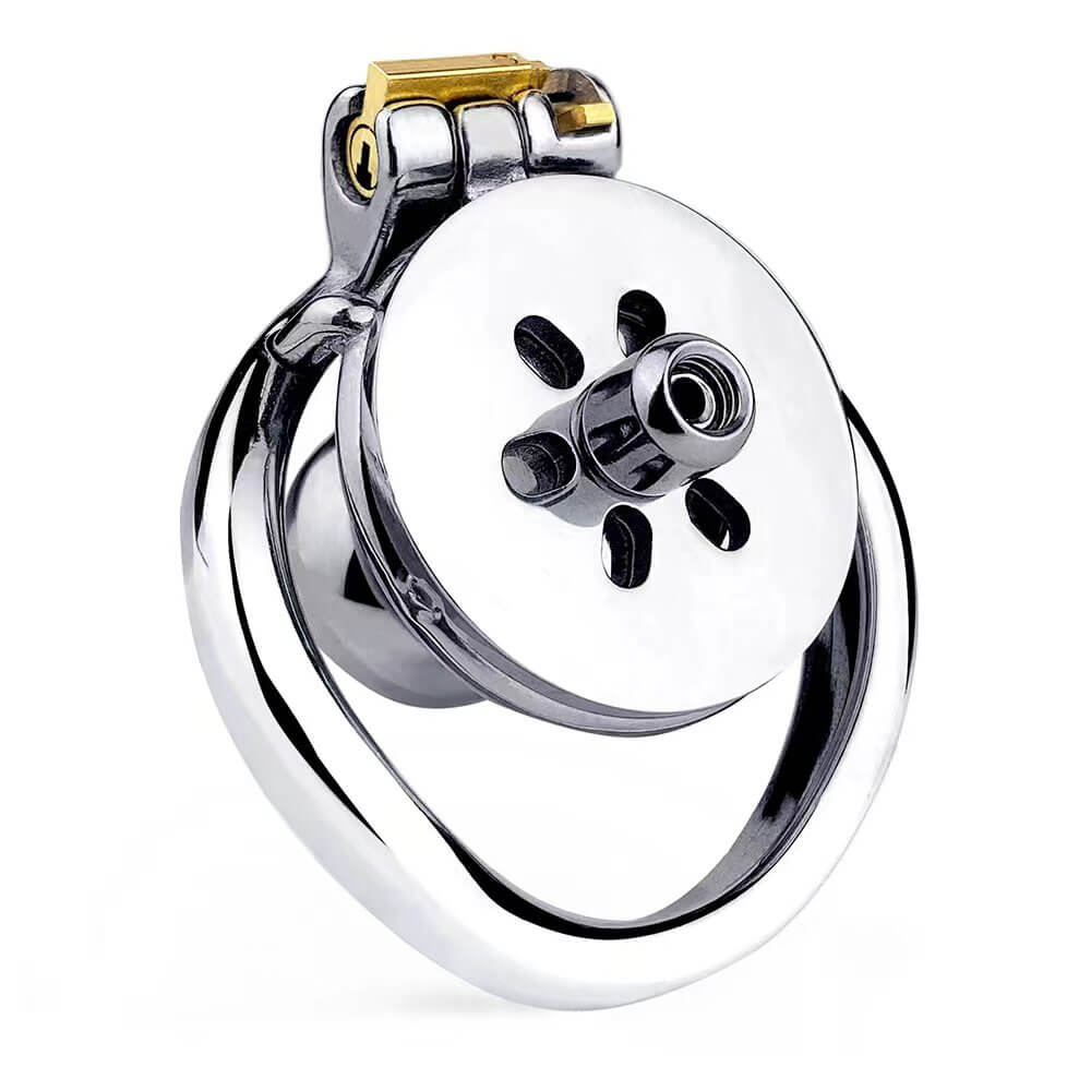 304 Stainless Steel Inverted Chastity Cage with Detachable Silicone Dildo Head