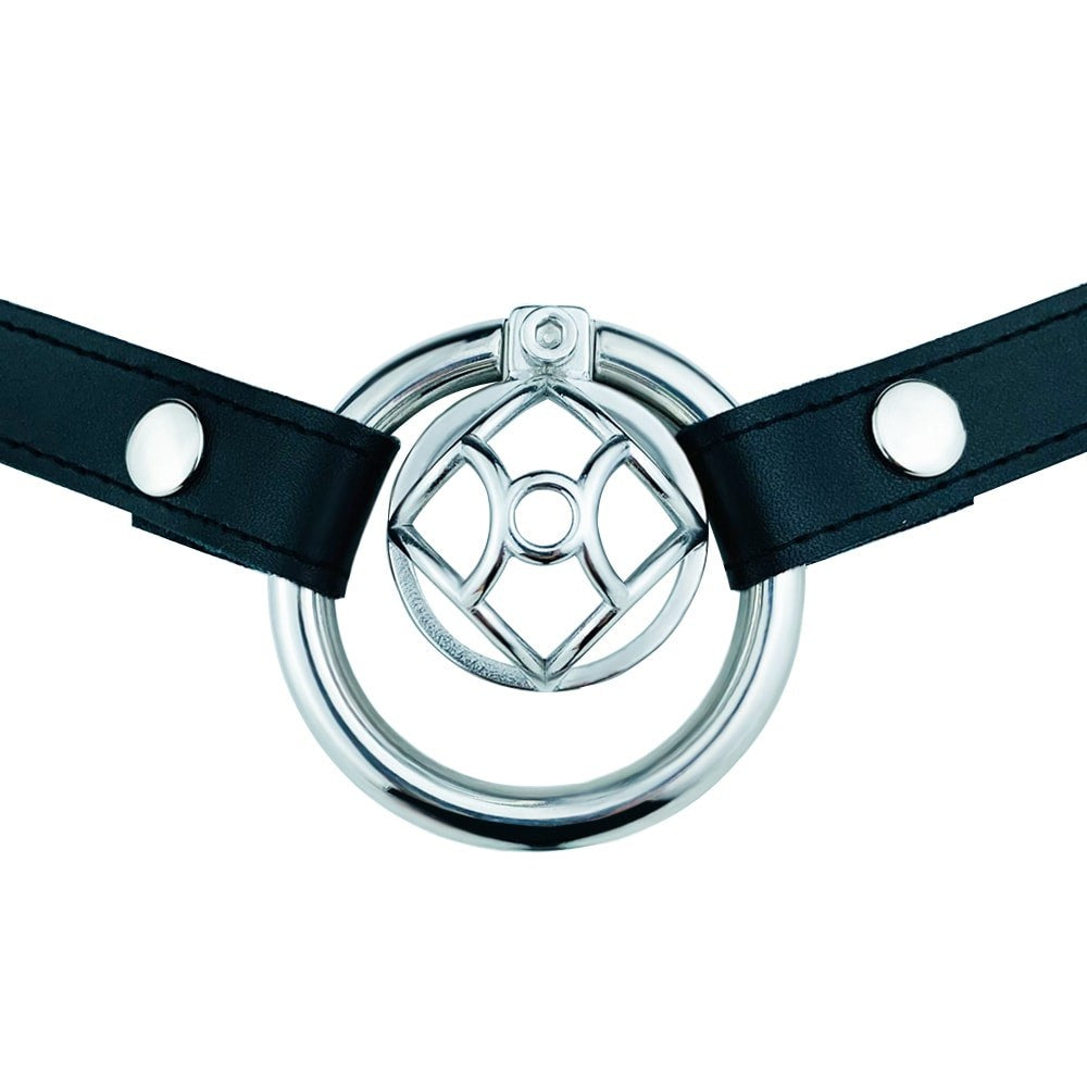 Front view of the JTS S237 cage with the waist strap extending from both sides