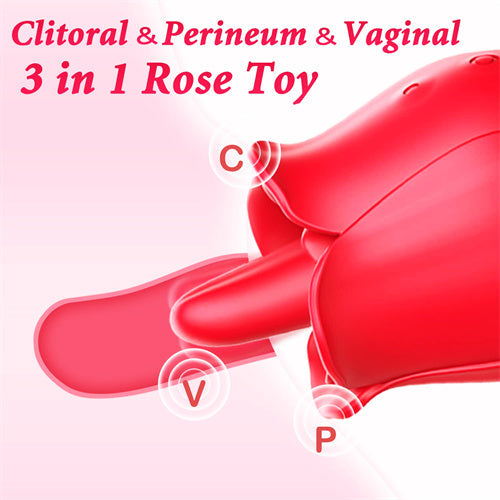 9 Vibrating Clitoris & Nipple Stimulation Rose Toy Barbara