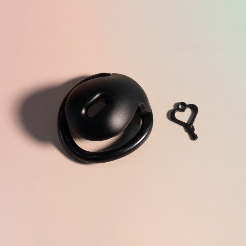 Black plastic inverted cage with key set