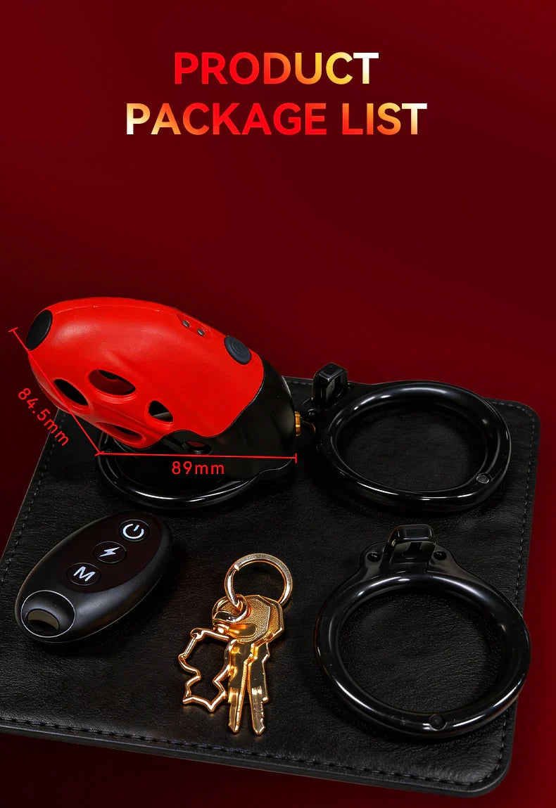 LK-113 cage remote rings keys and charging cable
