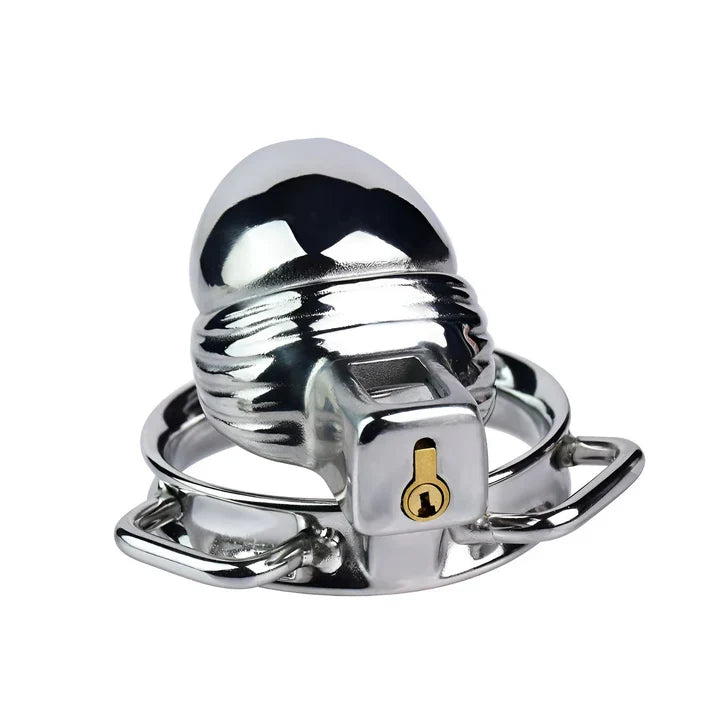 Rear view of LKM-065 steel cage and integrated lock