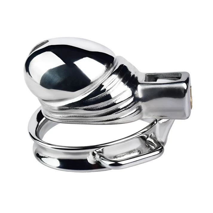 Side view of mirror-polished penis-shaped steel cage