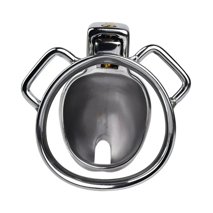 Interior of polished penis-shaped stainless steel shell