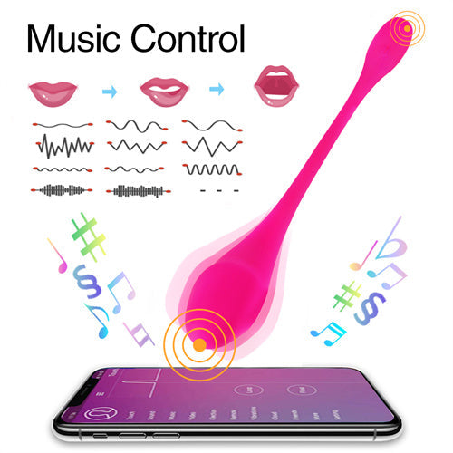 Lalo APP Controlled Vibrator