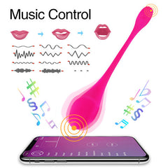 Lalo APP Controlled Vibrator