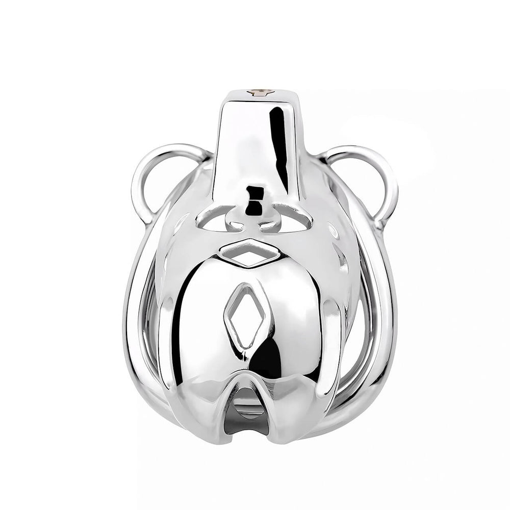 Stainless steel Cobra cage showing the front cutouts, integrated lock and side attachment loops
