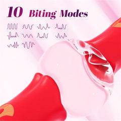 Mouth Biting Rabbit Vibrators