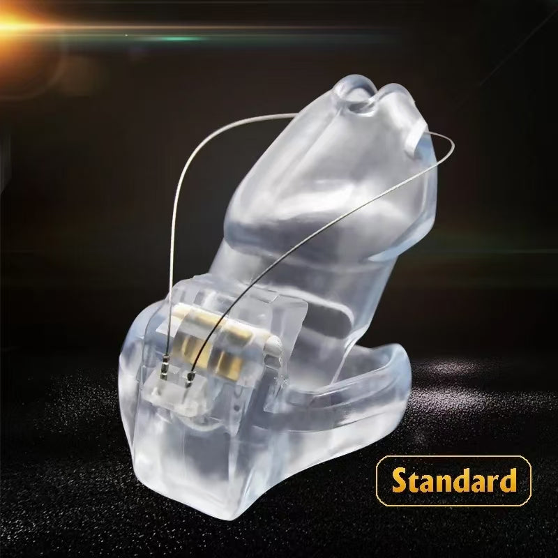 Prince Albert Holy Trainer V4 Chastity Device