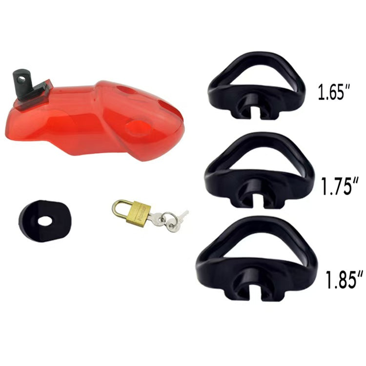 Holy Trainer V1 Chastity Device