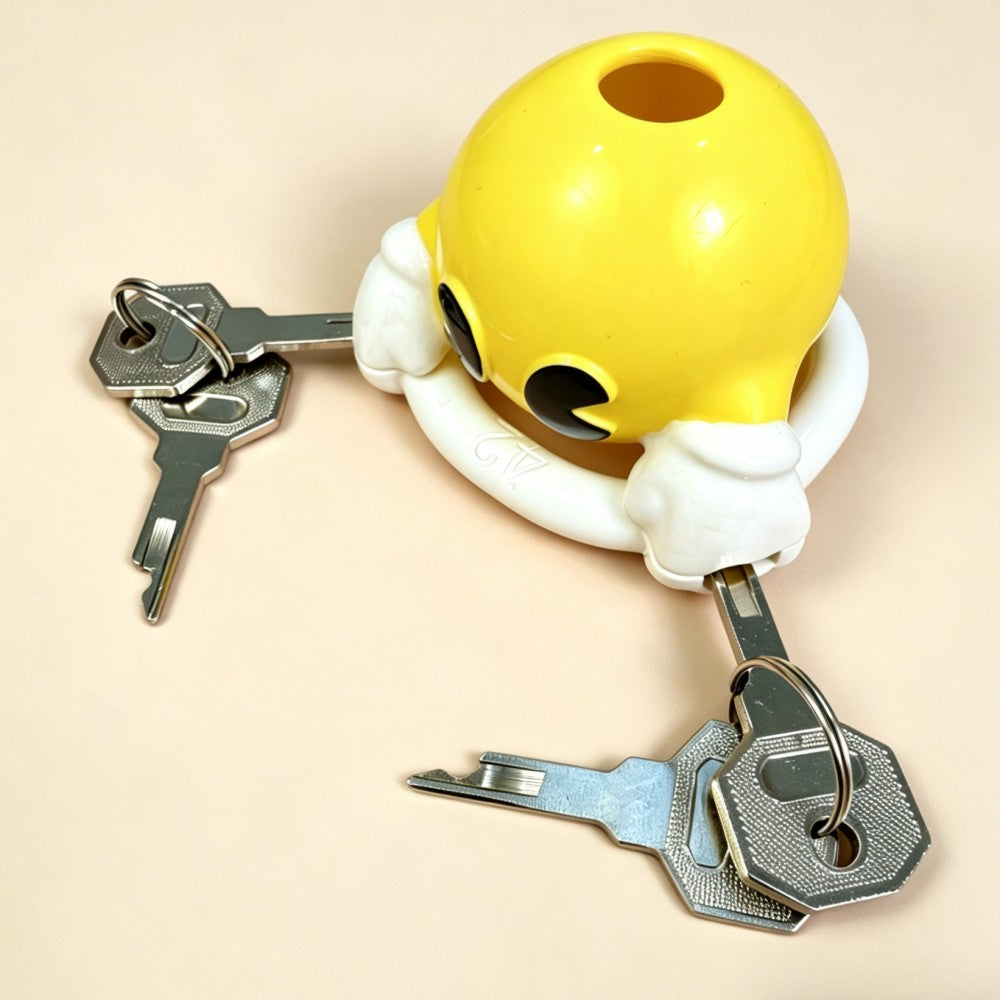 two locking pins and four keys