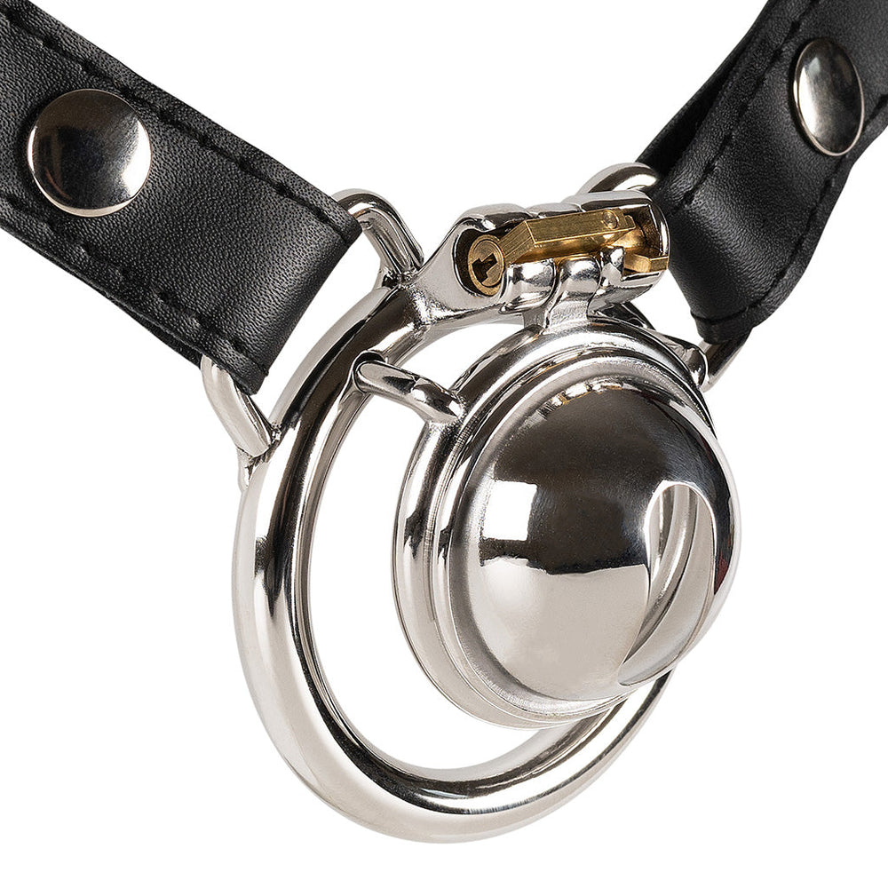 S234 ultra-compact stainless steel chastity cage with optional waist strap