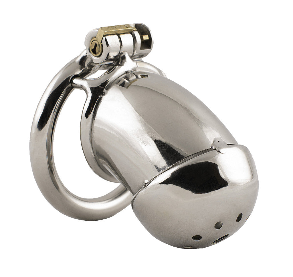 S79 enclosed stainless steel chastity cage in standard size