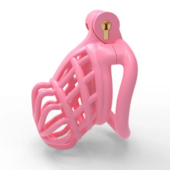 3D Sissy Male Chastity Cage