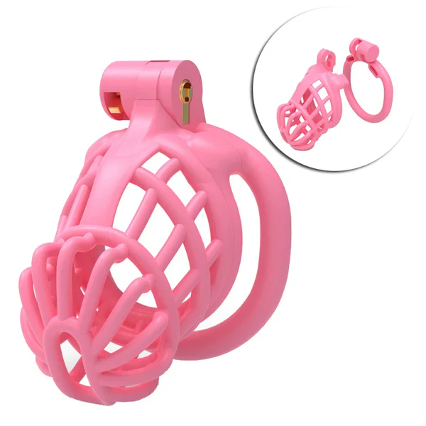 3D Sissy Male Chastity Cage