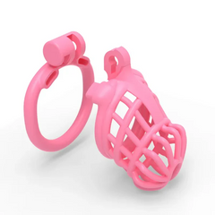 3D Sissy Male Chastity Cage