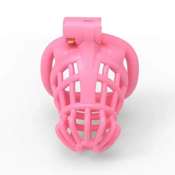 3D Sissy Male Chastity Cage