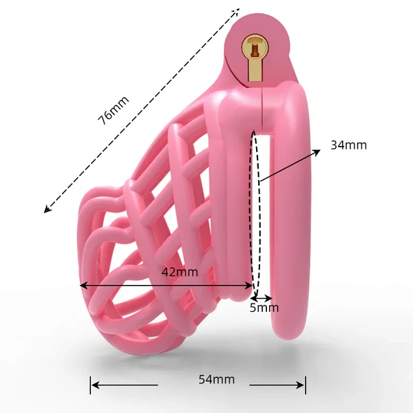 3D Sissy Male Chastity Cage