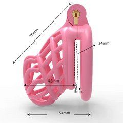 3D Sissy Male Chastity Cage