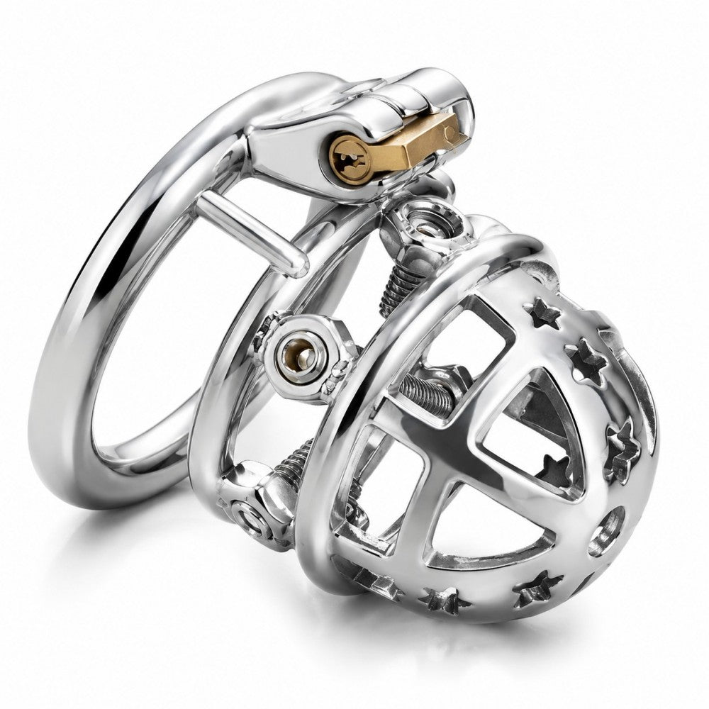Rear view of spiked steel cage locking ring