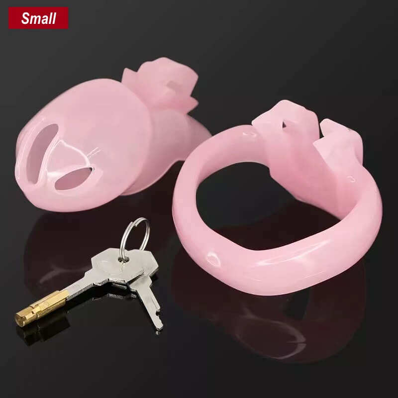 The Small-Sung V4 Chastity Device 1.57 Inches Long