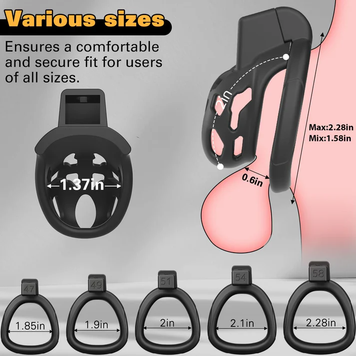 Discreet Mastery with Invisible Lock