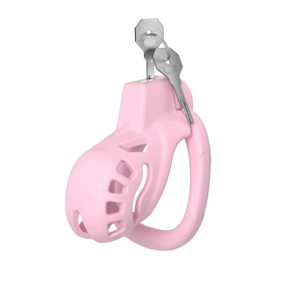 Discreet Mastery with Invisible Lock