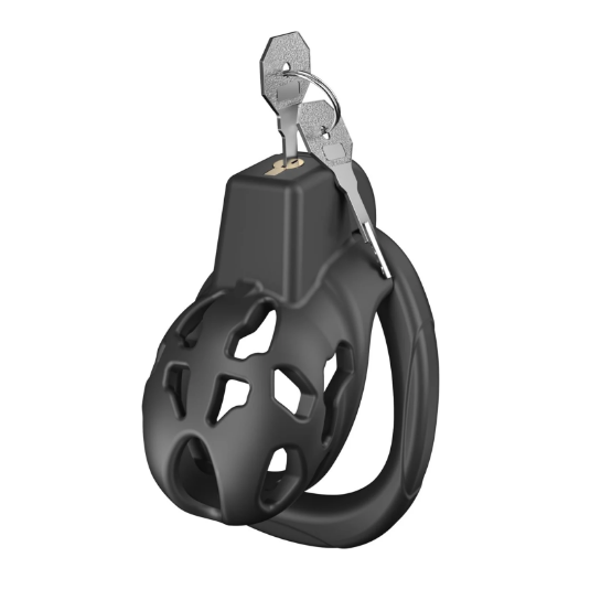 Discreet Mastery with Invisible Lock