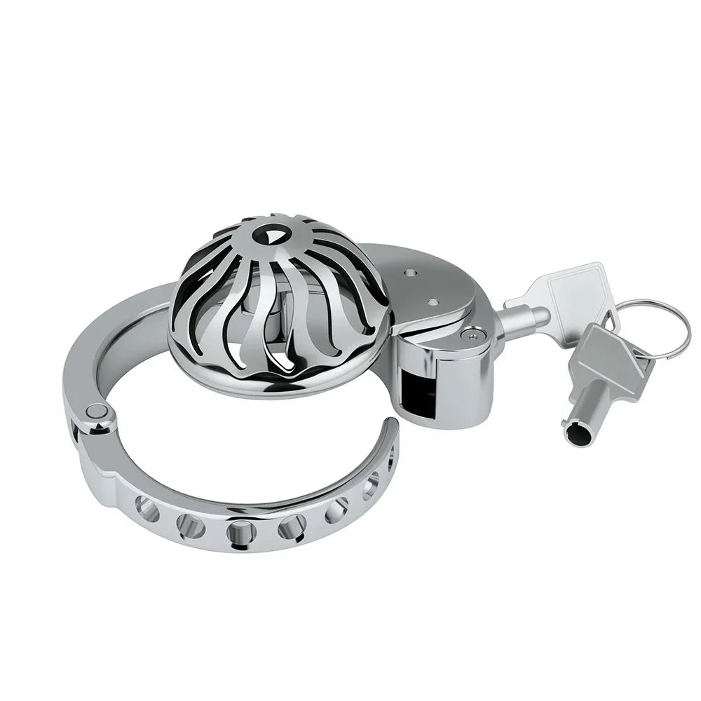 ZC-193 dome metal cage with concealed lock and two keys
